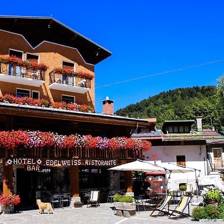 Hotel Edelweiss Limone Piemonte Exterior photo
